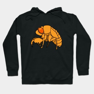 Cicada Nymph Hoodie